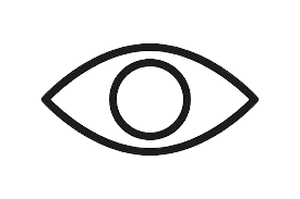 Toggle Password Visibility